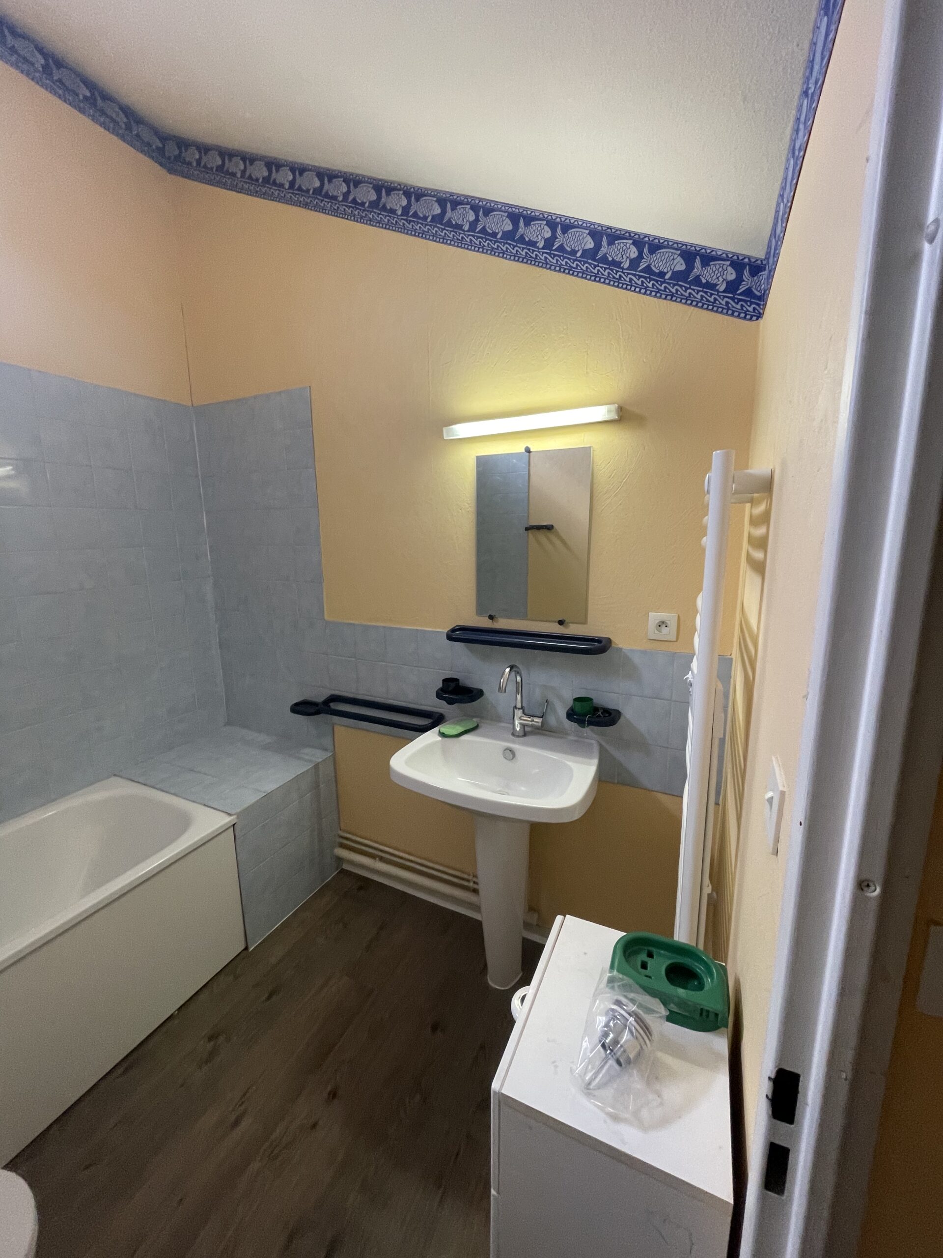 Image rénovation de salle de bain - Salle de bain  – Toulouse