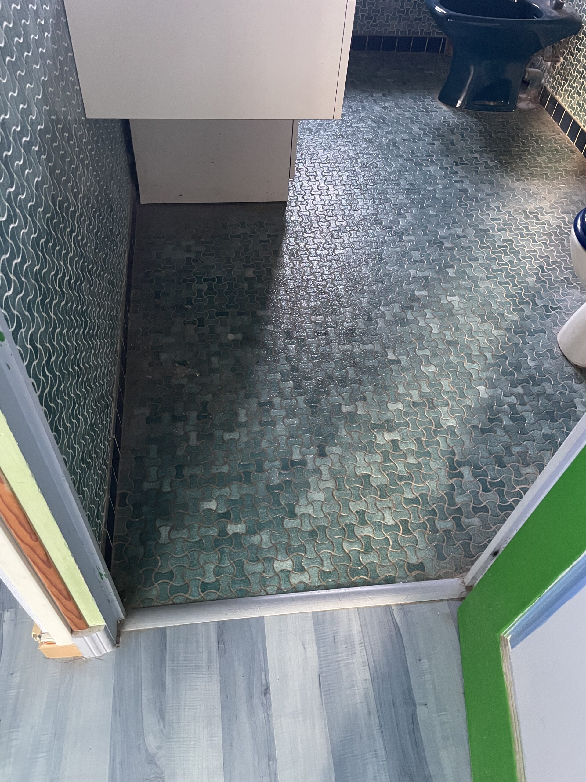 Image rénovation de salle de bain - Salle de bain n°2 – Auterive